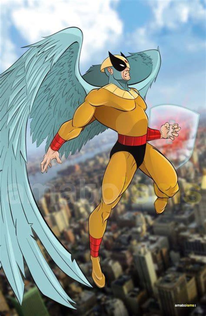 Image result for Birdman