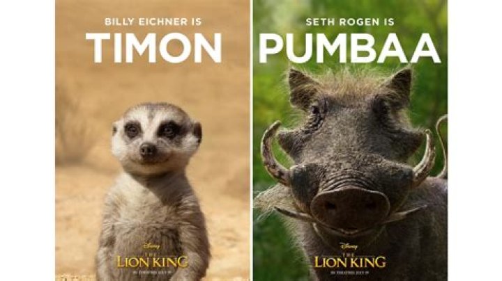 What animal is Pumbaa and Timon? – Celebrity